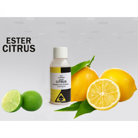 Masterbih Ester Citrus Flavour 50ml